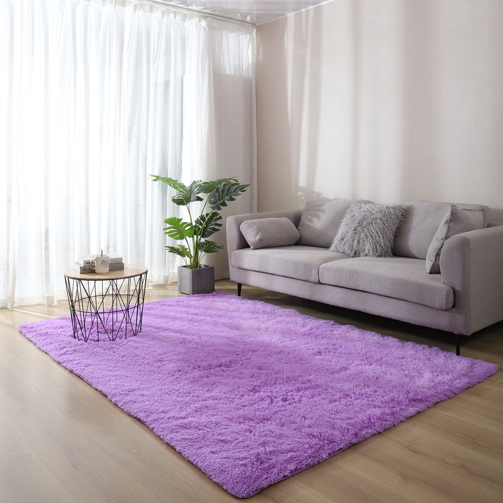 Plush Carpet Fluffy Rug Carpet - Bracesley