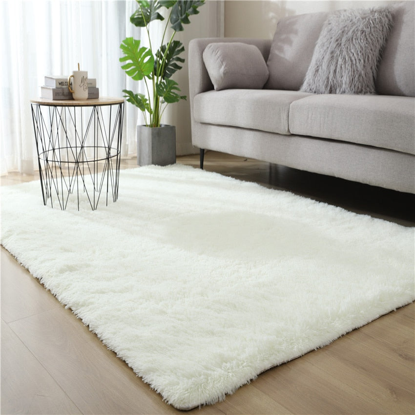 Plush Carpet Fluffy Rug Carpet - Bracesley