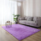 Plush Carpet Fluffy Rug Carpet - Bracesley